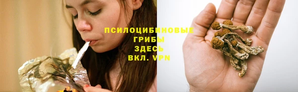 jwh Алзамай