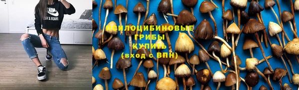 МДМА Алексеевка