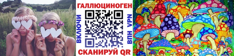 Псилоцибиновые грибы MAGIC MUSHROOMS  KRAKEN сайт  Нарткала 