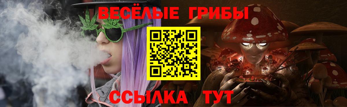 Галлюциногенные грибы Psilocybine cubensis  Вход с VPN  Нарткала 